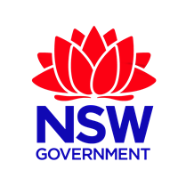 ICT in Early Childhood Education NESA