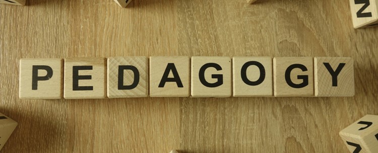 Pedagogy in Early Childhood