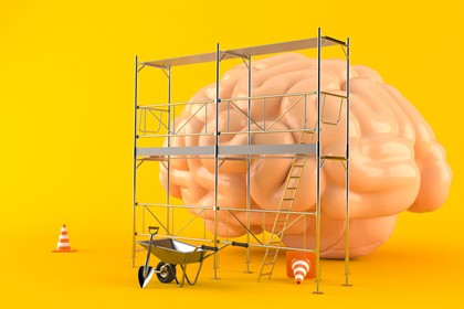Scaffold learning