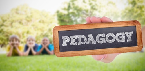 Early Childhood Pedagogy